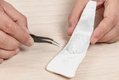 Sushi Plastic Model: Anago