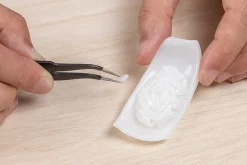 Sushi Plastic Model: Squid