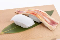 Sushi Plastic Model: Squid