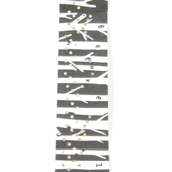 Tape Music Box Manga Series Vol. 2: