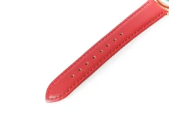 The Ancient Magus’ Bride Original Design Watch