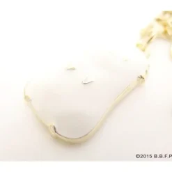 The Boy and the Beast Chiko Charm Strap