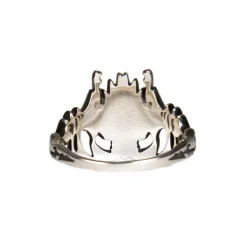 The Rising of the Shield Hero Season 2 Naofumi Iwatani Model Silver Ring