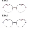 Touhou Megane Mamizou Futatsuiwa Model