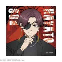 Wind Breaker Sticker Suit Ver.