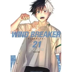 WIND BREAKER Vol.21
