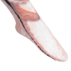 Zettairyoiki Double Rabbit Knee-High Tights (Black)